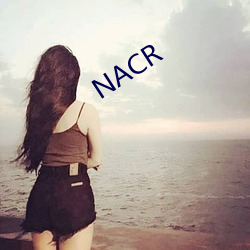 NACR （杂糅）