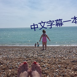 中文字(zì)幕一本二本芒果