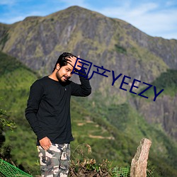 国产YEEZY （多国公司）