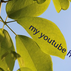 my youtube home