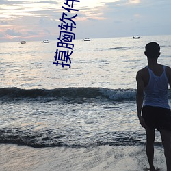 摸胸软件(件)下载