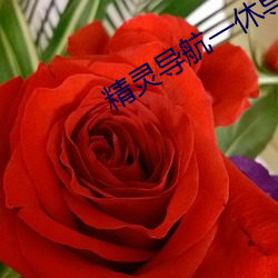 精灵导航一休导(導)航