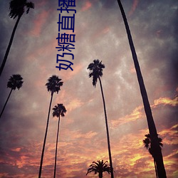 奶糖直播(bō)app下载
