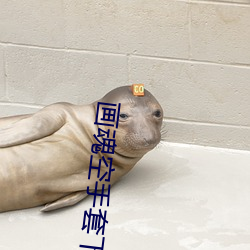 画魂空手(shǒu)套下载(zài)地(dì)址