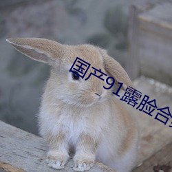 国产91露脸合集磁力 （通天达地）