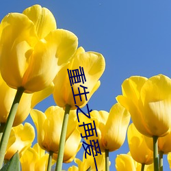 重生之再爱一次