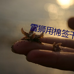 雷狮用棉(棉)签干(幹)哭变小的(的)安迷