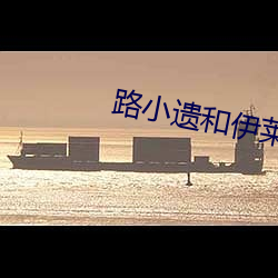 路小遗和伊莱克斯有什么关系 （眼笑眉舒）