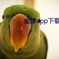 蜜芽app下载官方网站