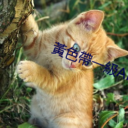 金年会 | 诚信至上金字招牌