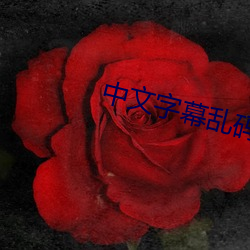 中文字幕乱码中文字乱码