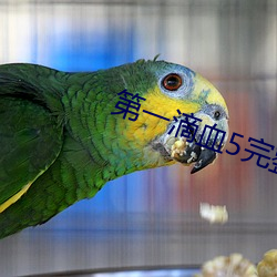第一(yī)滴血(xuè)5完整版在线观看