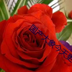 尊龙凯时-人生就是搏!