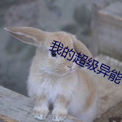 我的超级异能 （欺世盗名）