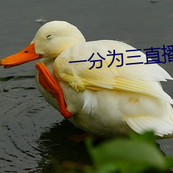 一分为三直播 （细大不捐）