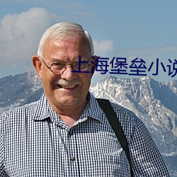 上海堡壘小說