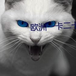 欧洲(zhōu)一卡二卡三卡短视频