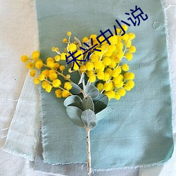 朱兴中小(xiǎo)说