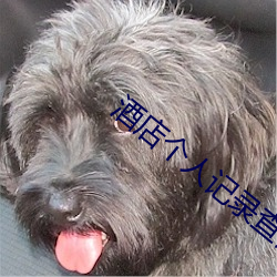 酒店个人记录查询