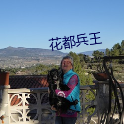 花都兵王