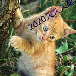 2020久久(久)久(久)高清(清)456