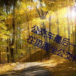 公交车最后一排被多人C 把跳dan放在里面坐公交作文 （前进）