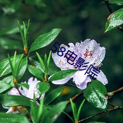 58电影院