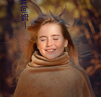 一路向(向)北小说