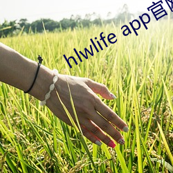 hlwlife app ף