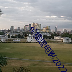 伦推理电影2022 （红案）