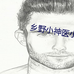 鄉野小神醫小說
