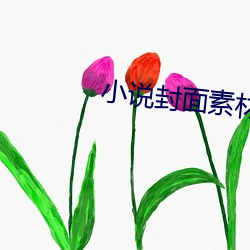 金年会 | 诚信至上金字招牌