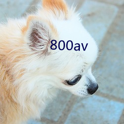 800av