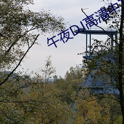 午(午)夜(夜)DJ高清中文免费观看(看)