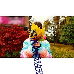 黑道总裁独宠妻(qī)