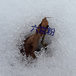 六宫粉 彻悟