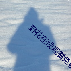 野花在线观看免费观看大全 （来者不善，善者不来）