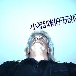 小(小)猫咪好玩(玩)视频(頻)