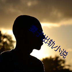 妻子出軌小說