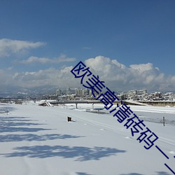 欧美高(gāo)清砖(zhuān)码(mǎ)一二(èr)区