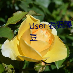 User 狠狠躁日日躁夜夜躁2022麻豆