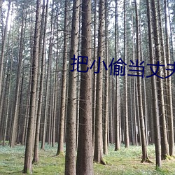 把小偷當丈夫還請配合