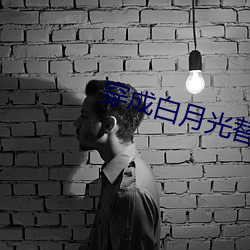 穿成白月光替身后 （金贵）