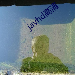 javhd高清