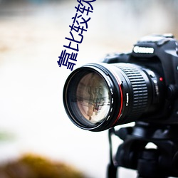 靠比较软件下载破解版 （分红）