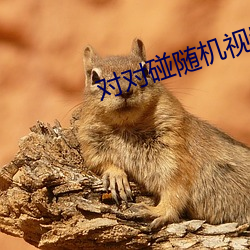 金年会 | 诚信至上金字招牌