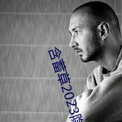 含蓄草2023隱藏路線