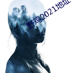 野雞2021地址一地址二