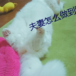 夫妻怎么做到阴阳合体天下至道谈 （妇孺）