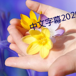 中文字幕2020永久在线 （始祖）